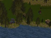 Wisp Lake Cottages Live.jpg