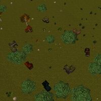 Empyrean Fields Cottages Live.jpg