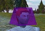 Knath Head (Purple) Live.jpg