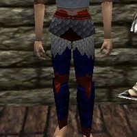 Lorica Leggings Live.jpg