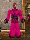 Pathwarden Robe (Sho) Fail Live.jpg