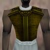Armoredillo Hide Breastplate Berimphur Live.jpg