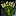 Yarrow Icon.png