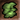 Small Sclavus Hide Icon.png