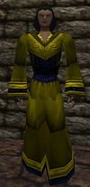 Tessera Gown Berimphur Live.jpg