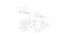 Uncolored Map