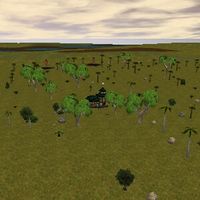 30.5S, 77.5E - Cottage Live 2.jpg