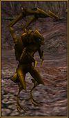 Character Creation Olthoi Soldier.jpg