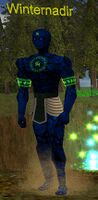 Winternadir