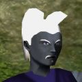 Haircut Skin 16 Live.jpg