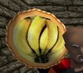 Thumbnail for version as of 13:02, 9 June 2023