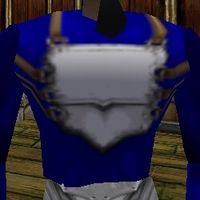 Breastplate of Power Back Live.jpg