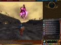 Virindi Towers 1 Live.jpg
