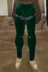 Noble Leggings Minalim Live.jpg