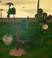 Aun Utauri and the tree sapling