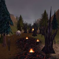 Burning Wood
