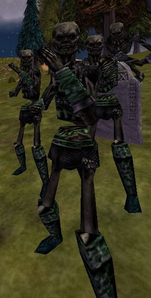 Old Zombie (60+) Live.jpg
