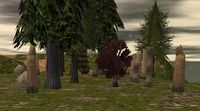 Gold Hill Ruins 2 Live.jpg
