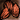Brown Beans Icon.png