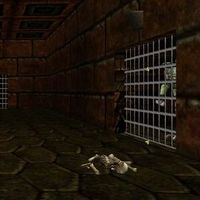 Lugian Prisoners