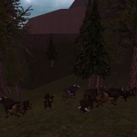 80.7S, 34.5W - Auroch Herd Live.jpg